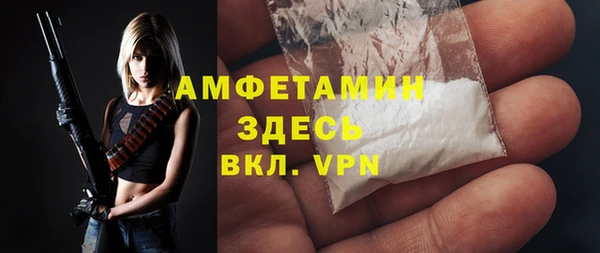 apvp Бородино