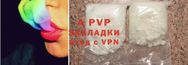 стафф Богданович