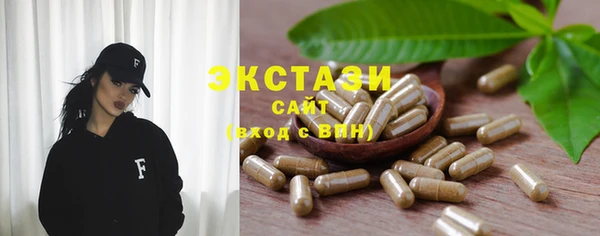 крисы Богородицк