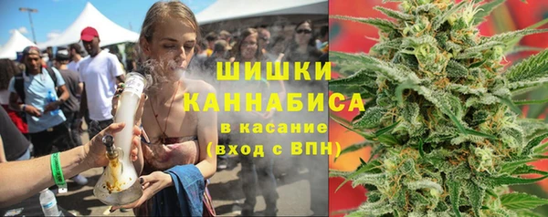 крисы Богородицк