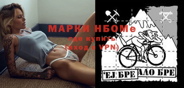 apvp Бородино