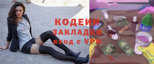 крисы Богородицк